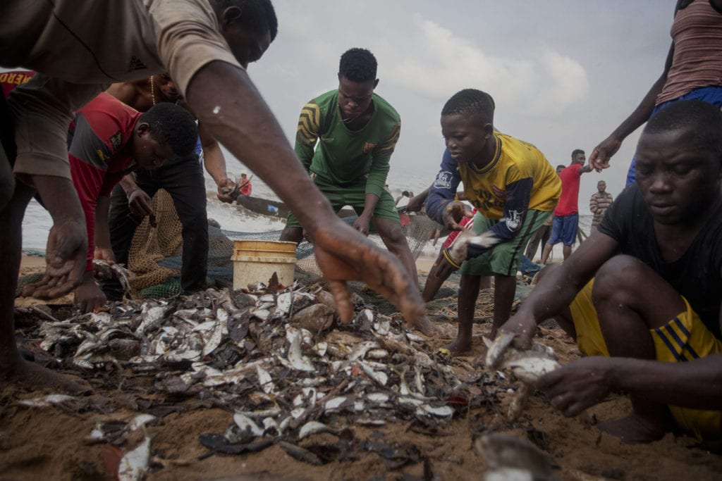 Les pêcheurs se séparent et comptent les poissons de leur prise quotidienne après avoir traîné un filet depuis la plage de Yoyo.