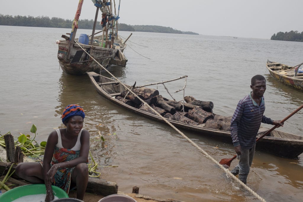 À Ebokombo, un homme et une femme arrivent avec une pirogue pleine de bois de palétuvier rouge, qu'ils appellent Caltal, et qu'ils utilisent pour fumer le poisson. Les mangroves autour des camps de pêcheurs d'Afrique de l'Ouest sont réduites par cette activité.