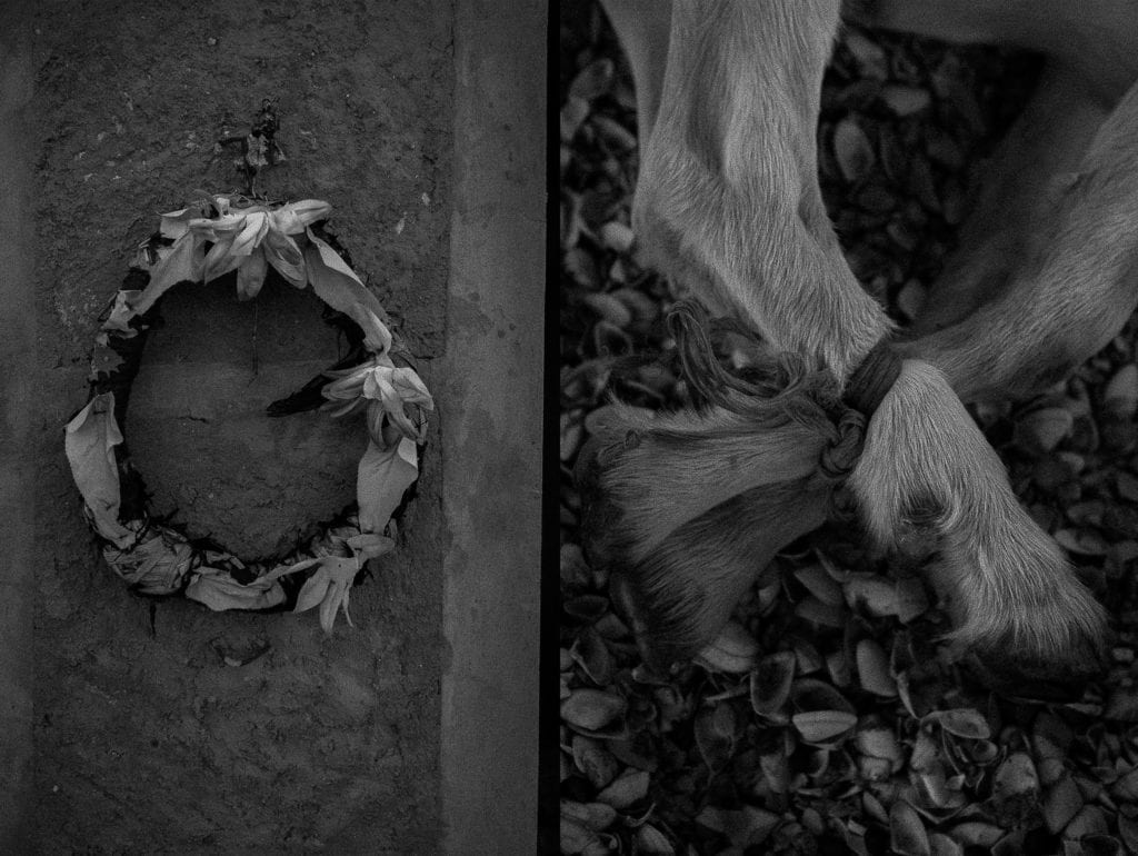 [Left] A mortuary ornament in a cemetery in the Guajira desert, close to the Venezuela-Colombia border. [Right] the legs of a young goat that was immobilized before being killed. Death is always present in Venezuela, where around 28,000 people were murdered in 2016, according to the Venezuelan Observatory of Violence.