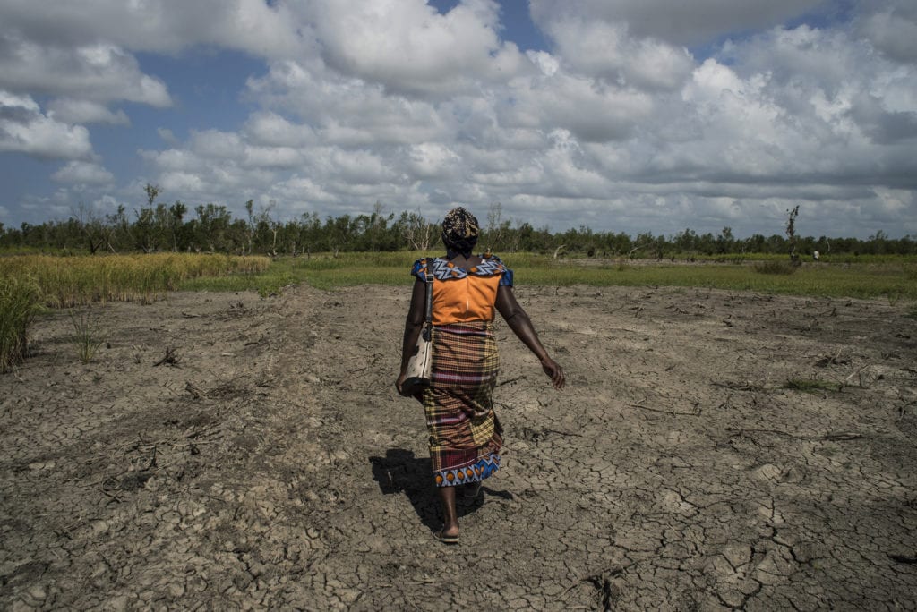Joana Maria Juga, 39 ans, 7 enfants, a perdu un des deux hectares sur lesquels elle faisait pousser du riz. Son terrain a été ravagé par le cataclysme, le 14 mars 2019. Elle a également perdu sa maison. Ceramica-Ngupa, Beira, Mozambique, mai 2019.