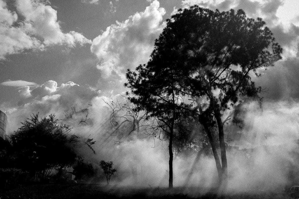 A tree is seen with tear gas in Caracas, on July 6, 2017. From the series Blurred in Despair.