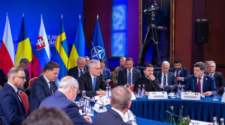 Sommet des Neuf de Bucarest (B9) lundi 2 juin 2025 à Vilnius. © Site de la présidence ukrainienne